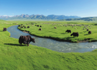 瞭望·治国理政纪事丨打造绿色有机农畜产品输出地