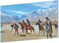 马背上的运动，超燃