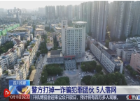 5小时阻击新型电诈！警方打掉一犯罪团伙 5人落网