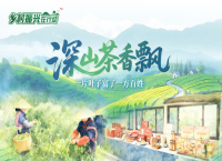 乡村振兴在行动丨深山茶香飘，一片叶子富了一方百姓