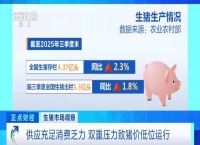 生猪行情旺季不旺 猪价为何承压？记者调查→