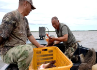 佳木斯：冷水鱼“鲜”行全国
