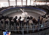 12月1日起施行！婴幼儿配方液态乳新规来了