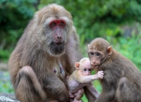 新华鲜报丨大美绽放！国家公园法施行