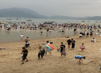 “宠客式”赶海、地笼赶海兴起 是“收货满满”还是“竭泽而渔”？