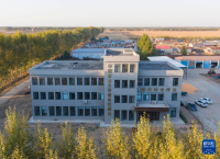 科技赋能农业生产 把论文写在大地上——探访中国农大肇东实验站