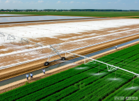 总书记的关切·落地的回响|综合利用 盐碱地变丰产良田