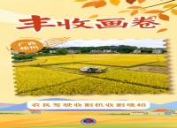 海报丨丰收画卷