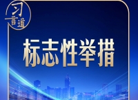 习言道｜建好自贸港，习近平强调三个“不”