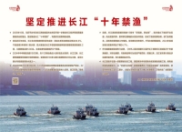 瞭望·治国理政纪事丨坚定推进长江“十年禁渔”