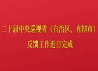 二十届中央巡视省（自治区、直辖市）完成反馈
