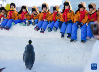 广西“小砂糖橘”再闯东北冰天雪地