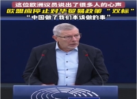 欧洲议员犀利质问 直指欧盟对华贸易政策“双标”