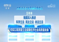 奋进的法治中国 | 护航营商环境 法治何以稳预期、促繁荣？