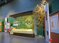 天津自然博物馆推出“清风竹韵 廉润初心”廉洁文化主题展