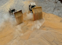 新华鲜报丨努力减轻农民因灾损失，农业保险再加力