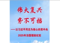 以习近平同志为核心的党中央2025年治国理政纪实